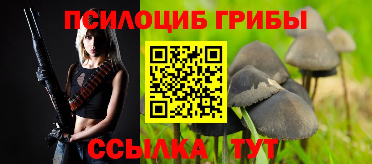 Псилоцибиновые грибы GOLDEN TEACHER  закладки  Котлас  Вход с VPN 